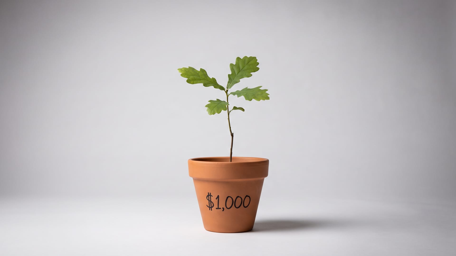 Cover image for "Why Your First $1,000 Should Buy the Whole Market, Not a Hot Stock"